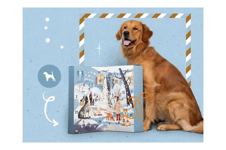 Vet-Concept Adventskalender 2026 für Hunde neben einem Golden Retriever